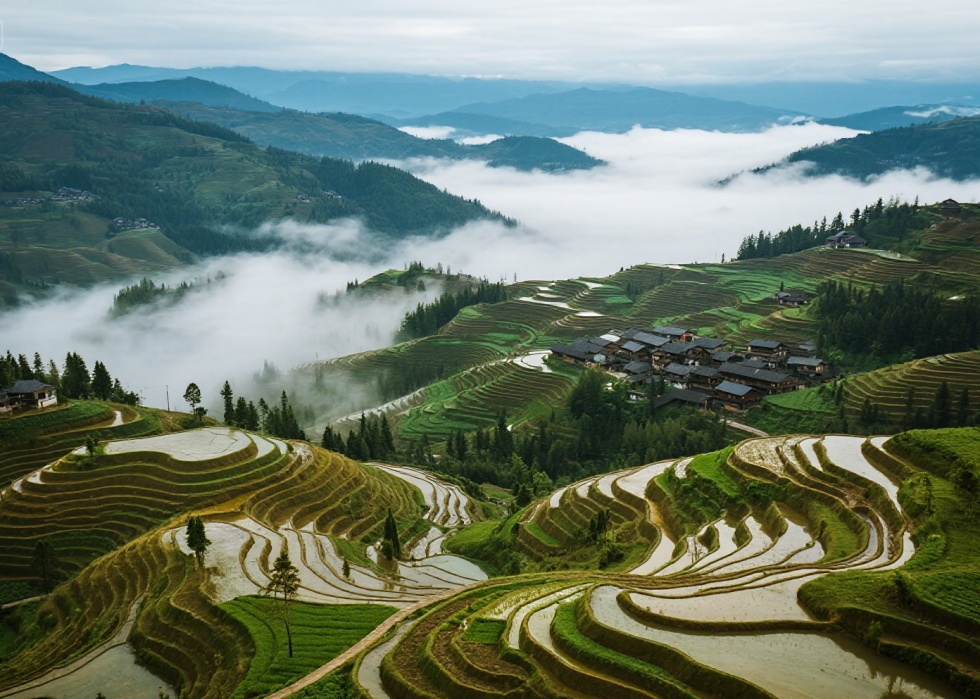 jimeng-2025-07-04-4230-贵州加榜梯田.jpg