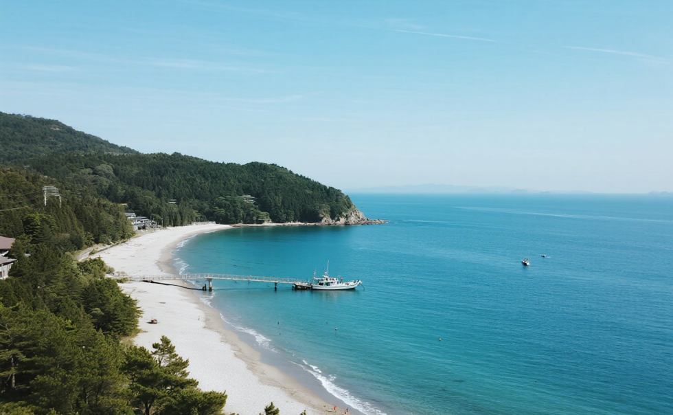 东京海岸.png